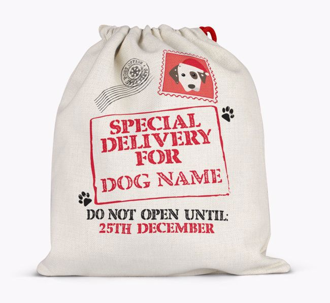 Special Delivery for {dogsName}: Personalized {breedFullName} Santa Sack